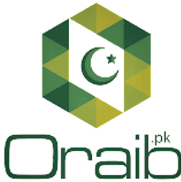 AI and Digital Emphasis as Pakistan's Premier Immigration Firm